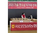 농협경제지주, 인삼의 날 맞이 햇수삼 특판 행사 실시