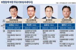 ‘13년 CEO’ 김정남 DB 부회장 복귀…하나·흥국화재 외부 수혈 [금융 이사회 줌人 (1)사내이사]