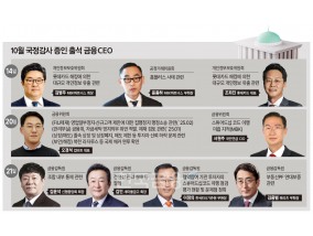 금융지주·은행 빠진 국감, 주인공은 '롯데카드·MBK·업비트'